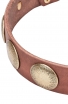 Stylish Leather Collar for Strong Dogs with Large Brass Circles