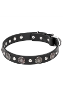 Leather Studded Dog Collar Decorated with Round Like-silver Plates with Antique Ornament