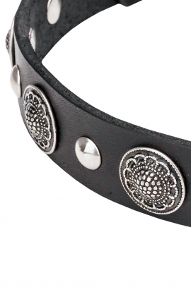 Leather Studded Dog Collar Decorated with Round Like-silver Plates with Antique Ornament Catalog   Products