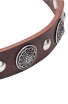 Leather Studded Dog Collar Decorated with Round Like-silver Plates with Antique Ornament Catalog   Products