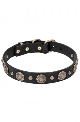 Fancy Design Leather Dog Collar with Nickel Pyramids