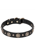 Leather Studded Dog Collar Decorated with Brass Vintage Circles with Engraving