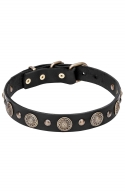 Leather Studded Dog Collar Decorated with Brass Vintage Circles with Engraving
