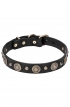 Fancy Design Leather Dog Collar with Nickel Pyramids