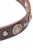 Fancy Design Leather Dog Collar with Nickel Pyramids