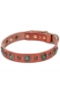 Fancy Design Leather Dog Collar with Nickel Pyramids