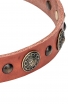 Fancy Design Leather Dog Collar with Nickel Pyramids