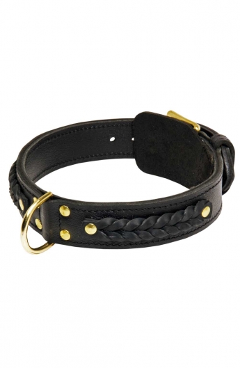 Spiked Leather Dog Collar and Braided Leash Set - Old Mill Store