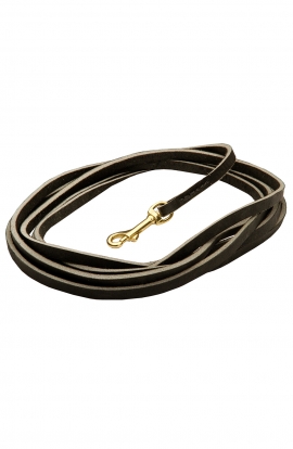 Long Leash for Large Dog. 3/4 inch Wide