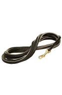 Long Leash for Large Dog. 3/4 inch Wide
