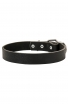 Get Multipurpose Leather Labrador Collar