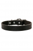 Daily Leather Boxer Collar