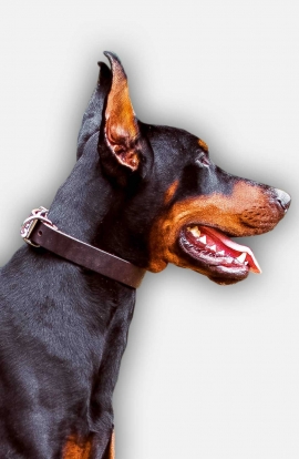 Doberman Training Collar