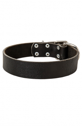 1.5 inch Wide Classic Dog Collar for Boxer