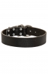 Strong 1 1/2 inch Wide Leather Doberman Collar