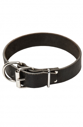 Strong 1 1/2 inch Wide Leather Doberman Collar