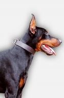 Strong 1 1/2 inch Wide Leather Doberman Collar