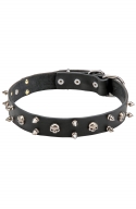 3 Rows Leather Dog Collar "Silver Skull" with Nickel Spikes