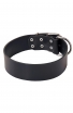 Extra Wide Leather Bull Terrier Collar for Everyday Walking and Basic Training