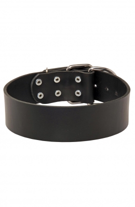 Extra Wide Leather Bull Terrier Collar for Everyday Walking and Basic Training
