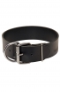 Extra Wide Leather Bull Terrier Collar for Everyday Walking and Basic Training