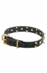 3 Rows Leather Dog Collar "Golden Skull" with Brass Spikes