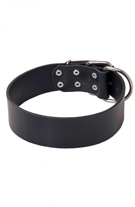 2 inch wide leather dog collars