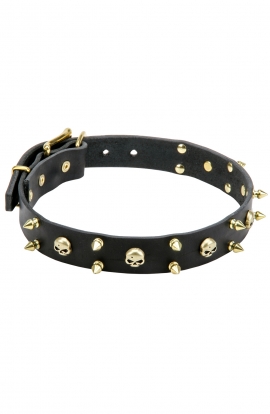 3 Rows Leather Dog Collar "Golden Skull" with Brass Spikes