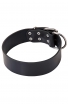 2 inch Wide Leather Rottweiler Collar