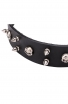 New Spiked Leather Dog Collar "Silver Skull"