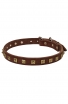 Studded Leather Boxer Collar with 1 Row Brass Pyramids