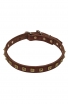 Studded Leather Boxer Collar with 1 Row Brass Pyramids