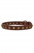 Studded Leather Boxer Collar with 1 Row Brass Pyramids