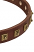 Studded Leather Boxer Collar with 1 Row Brass Pyramids