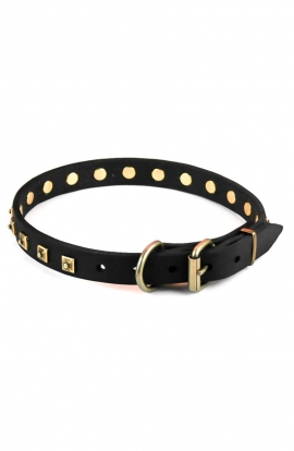 Studded Leather Boxer Collar with 1 Row Brass Pyramids