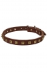 Exclusive Design Leather Siberian Husky Collar with 1 Row Brass Studs