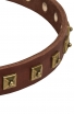 Exclusive Design Leather Siberian Husky Collar with 1 Row Brass Studs