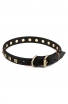 Exclusive Design Leather Siberian Husky Collar with 1 Row Brass Studs