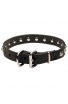 1 inch wide Leather Amstaff Collar with 1 Row Nickel Studs