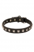 1 inch wide Leather Amstaff Collar with 1 Row Nickel Studs