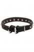 Designer Leather Boxer Collar with 1 Row Nickel Studs