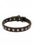 Designer Leather Boxer Collar with 1 Row Nickel Studs