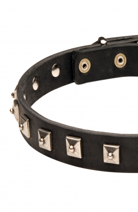 Cool Leather German Shepherd Collar with 1 Row Nickel Studs