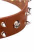 New Spiked Leather Dog Collar "Silver Skull"