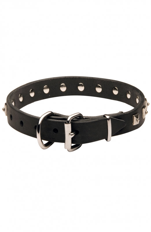 Get Walking Leather Cane Corso Collar, Spiked, Studded