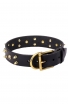 New Spiked Leather Dog Collar "Golden Skull"