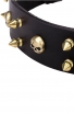 New Spiked Leather Dog Collar "Golden Skull"