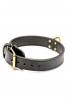 2ply Leather Boxer Collar with Fur Protection Plate