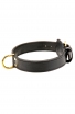 Amstaff 2ply Leather Dog Collar with Fur Protection Plate