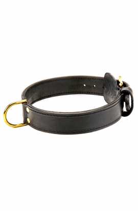 Handcrafted 2 Ply Leather Agitation Doberman Collar